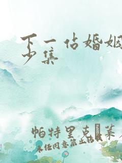 下一站婚姻共多少集