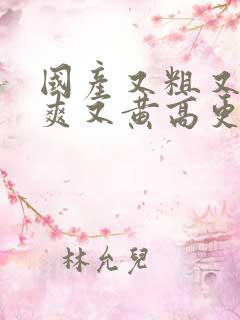 国产又粗又猛又爽又黄高更