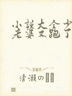 小说大全少帅你老婆又跑了