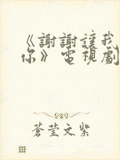 《谢谢让我遇见你》电视剧