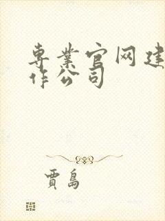 专业官网建设制作公司