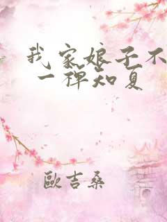 我家娘子不对劲 一禅知夏