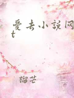 爱去小说网txt