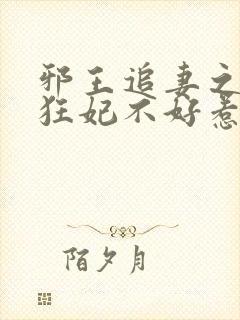 邪王追妻之神医狂妃不好惹