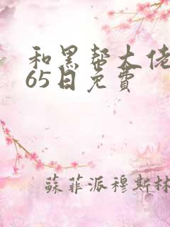 和黑帮大佬的365日免费