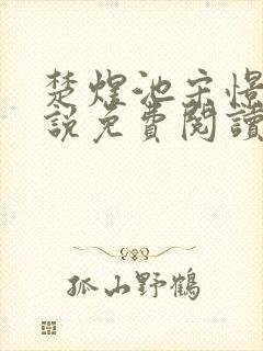 楚煜池宋憬棠小说免费阅读最新章节