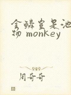金鳞岂是池中之物 monkey