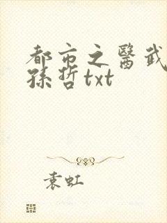 都市之医武风流孙哲txt