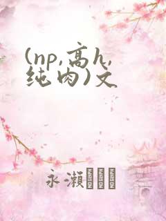 (np,高h,纯肉)文