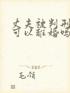 丈夫被判刑妻子可以离婚吗