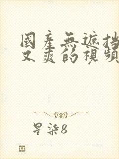 国产无遮挡刺激又爽的视频视频