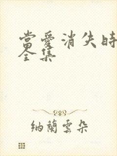 当爱消失时短剧全集