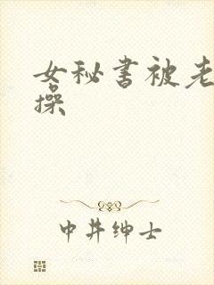 女秘书被老板狂操