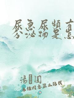 尿急尿频有白色分泌物是怎么回事