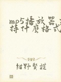 mp5播放器支持什么格式