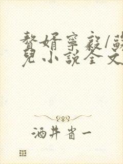 赘婿宁毅/苏檀儿小说全文免费读