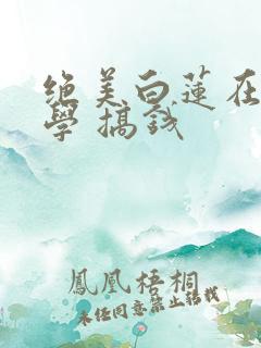 绝美白莲在线教学 搞钱