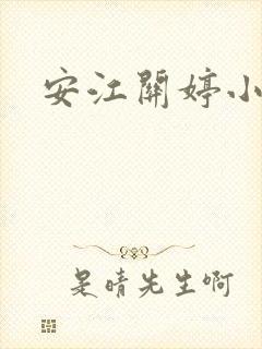 安江关婷小说