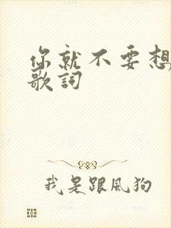 你就不要想起我歌词