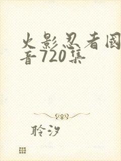 火影忍者国语配音720集