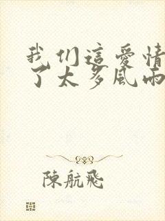 我们这爱情经过了太多风雨什么歌