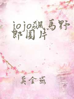 jojo飙马野郎图片