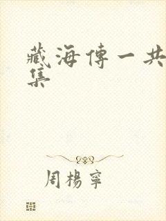 藏海传一共多少集