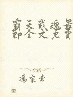 霸天武魂最新章节全文免费阅读