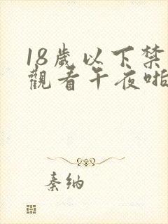 18岁以下禁止观看午夜啪啪网站