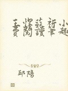 王悍苏祈小说免费阅读笔趣阁最新