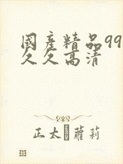 国产精品99久久久高清