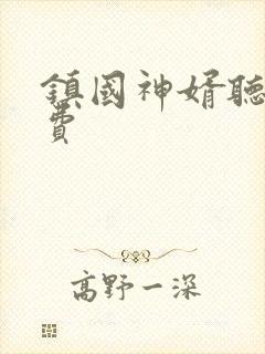 镇国神婿听书免费