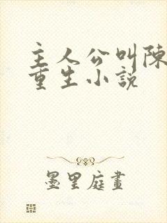 主人公叫陈风的重生小说