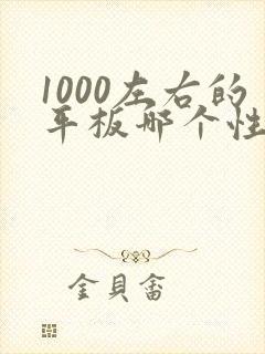 1000左右的平板哪个性价比高画画