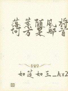 落叶随风将要去何方是哪首歌的歌词