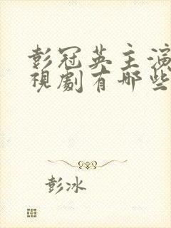 彭冠英主演的电视剧有哪些