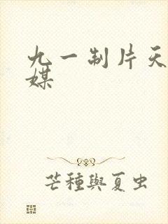 九一制片天美传媒