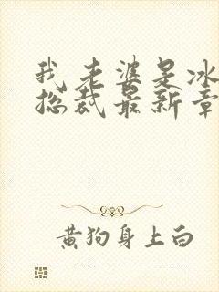 我老婆是冰山女总裁最新章节