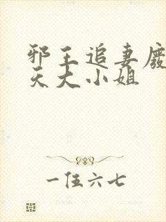 邪王追妻废材逆天大小姐