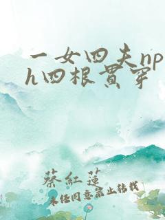 一女四夫np高h四根贯穿