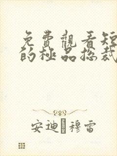 免费观看短剧我的极品总裁老婆