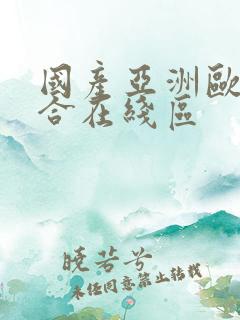 国产亚洲欧美综合在线区