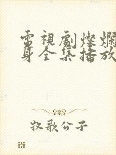 电视剧灿烂的转身全集播放免费观看下载