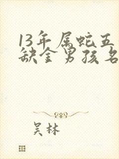 13年属蛇五行缺金男孩名字