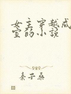 女主穿越成了外室的小说