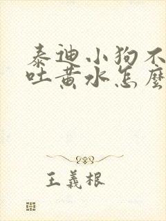 泰迪小狗不吃食吐黄水怎么回事