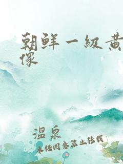 朝鲜一级黄色录像