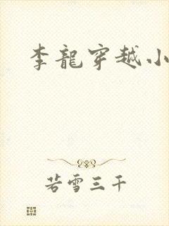 李龙穿越小说