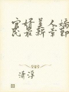 官婿美人娇王建民最新章节在线阅读