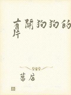 有关狗狗的动画片